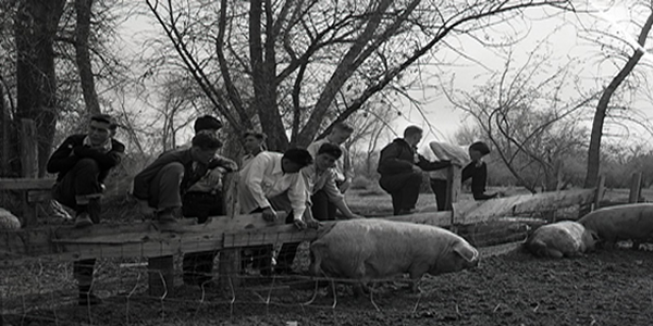 Administration & Agriculture History Administration & Agriculture History